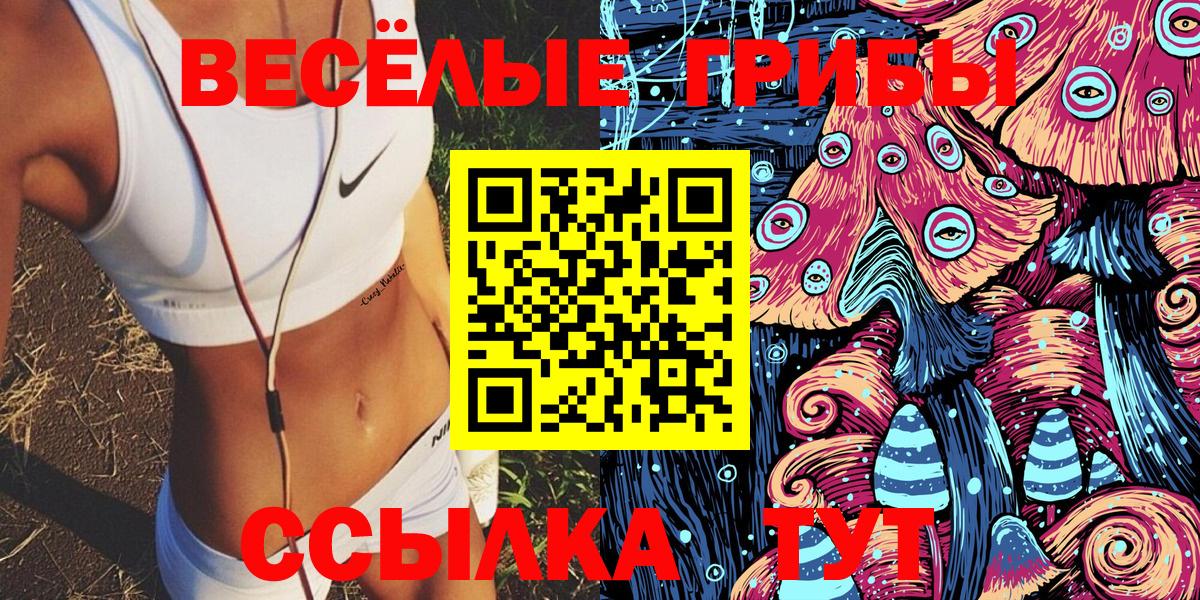 Псилоцибиновые грибы мицелий Углич