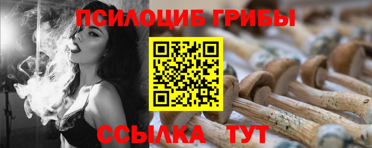 купить наркотик  Вход с VPN  Углич  Галлюциногенные грибы Magic Shrooms 